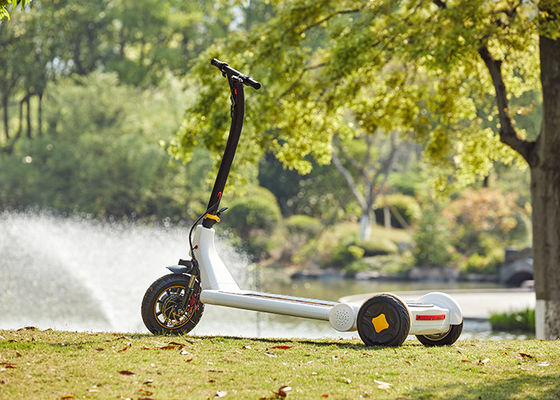 Feet Speed Control 36V Battery Portable Electric Scooter