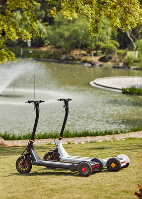 Folding Lithium Battery Alu Alloy E Scooter Waterproof