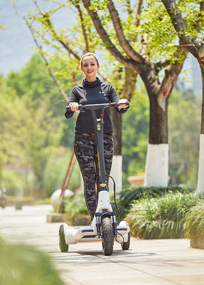 13inch 3 Wheel 11.3Ah Battery Electric Balance Scooter