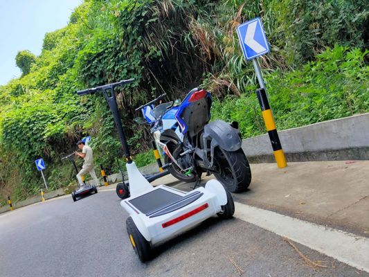 Feet Speed Control 250W 10A City Commuter Scooter
