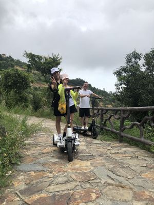 15.6'' Front wheel Precursor Driving Electric E Scooter