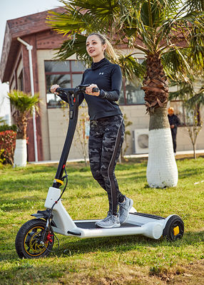 H1340mm 250W Loop Balance Electric Kick Scooter
