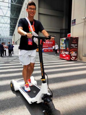 25km/H 0.25KW Smart Self Balancing Electric Vehicle