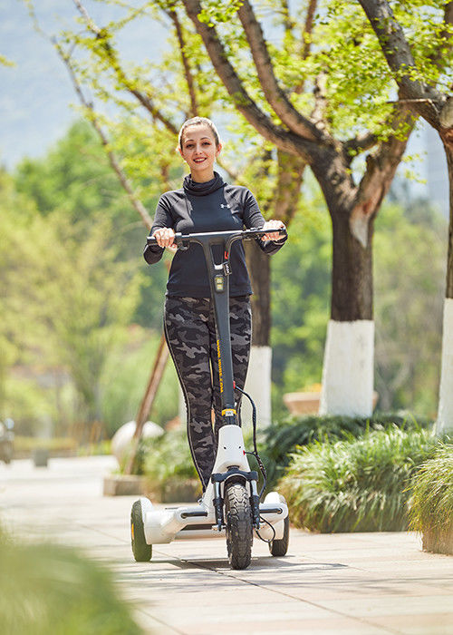 13inch 3 Wheel 11.3Ah Battery Electric Balance Scooter
