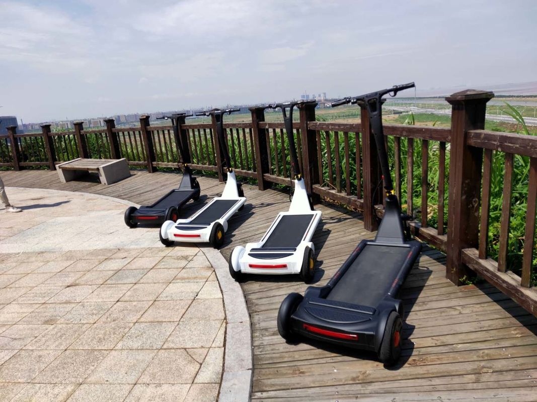Feet Speed Control 250W 10A City Commuter Scooter