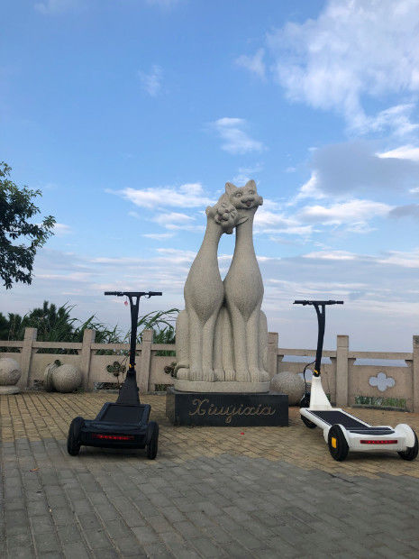 2h Charging Electric Balance Scooter