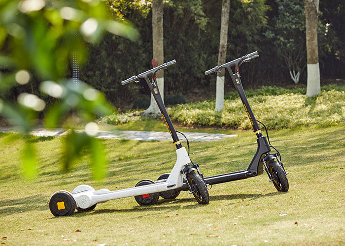 DC Brushless Hub Motor 30KG Battery 3 Wheel Scooter