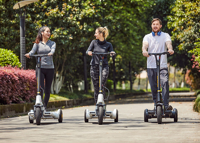 Airuide 36V lithium battery 250W Electric E Scooter