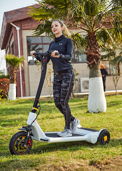 H1340mm 250W Loop Balance Electric Kick Scooter