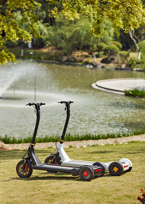 36V Electric Stand Up Scooter